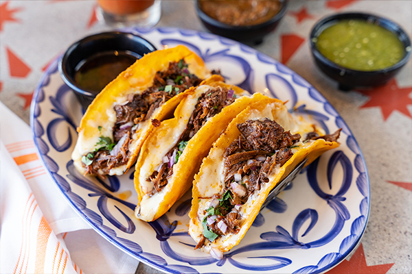 Tacos Worth Talking About: Why Loco Burro Has the Best Tacos in Knoxville